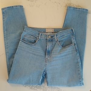 Everlane Size 28 Cheeky Straight Jeans